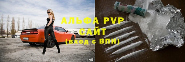 индика Бежецк