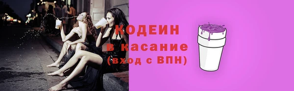 шишки Нязепетровск