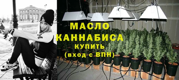 шишки Нязепетровск