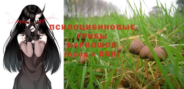 шишки Нязепетровск