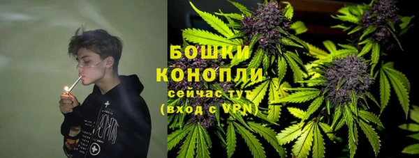 шишки Нязепетровск