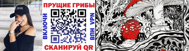 ОМГ ОМГ маркетплейс  Сортавала  Псилоцибиновые грибы Psilocybine cubensis 